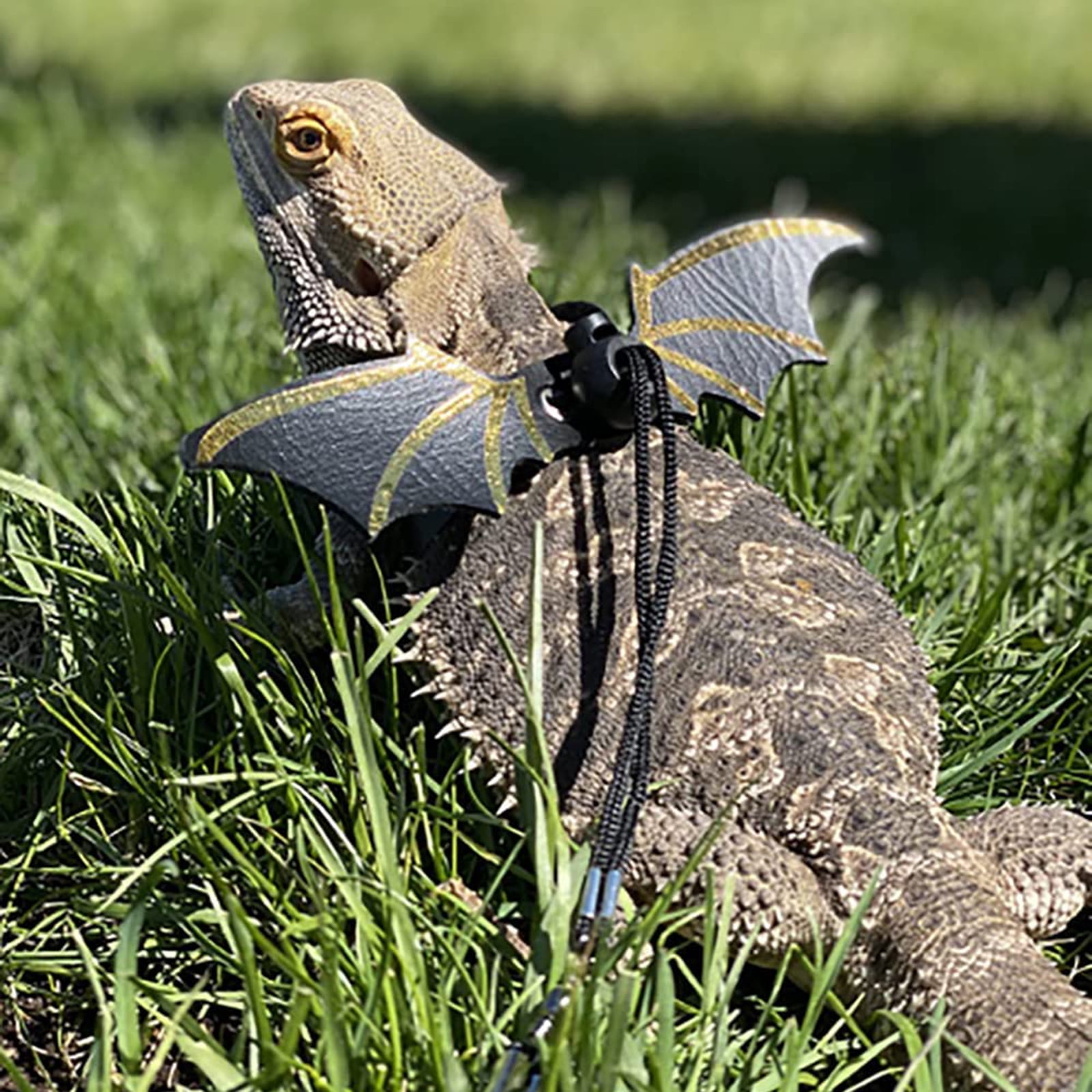 Adjustable Leash Set Bearded Dragon Harness Soft Wing Decoration Safety Walking Leash 3 Sizes Comfortable Vest - Image 2