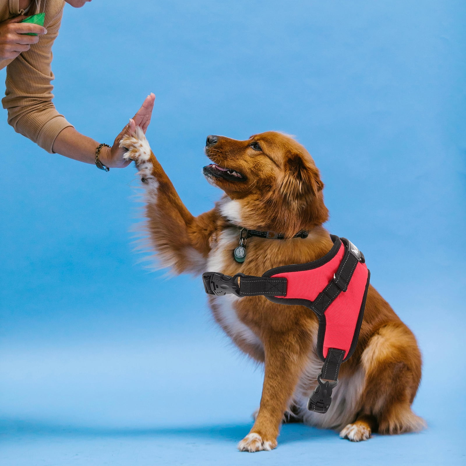 Set of 2 Pet Toys Dog Running Harness Dog Movement Harness L Red - Image 2