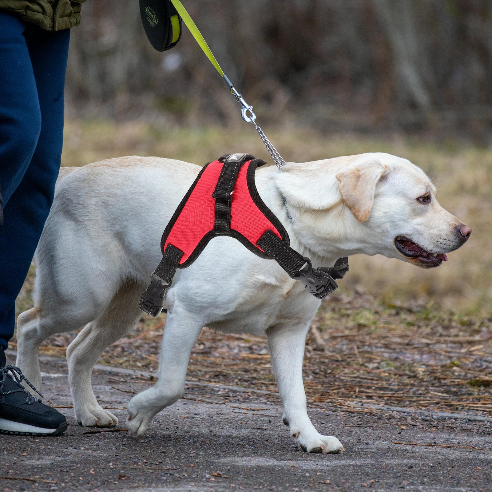 Set of 2 Pet Toys Dog Running Harness Dog Movement Harness L Red - Image 5