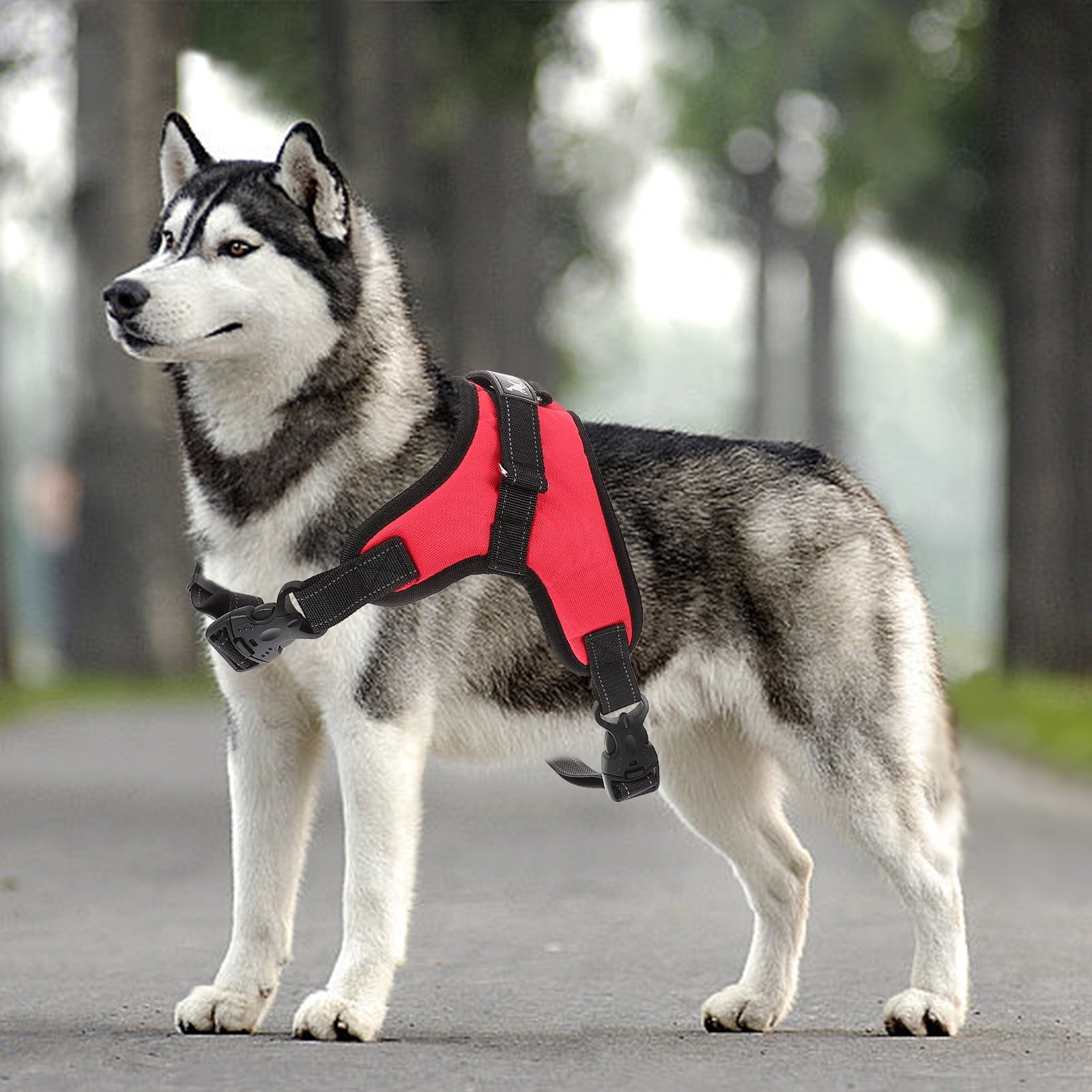 Set of 2 Pet Toys Dog Running Harness Dog Movement Harness L Red - Image 7