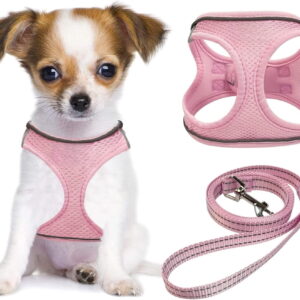 Dog Harness & Leash Set, No-Pull Soft Mesh Adjustable Pet Vest for Small, Medium & Large Dogs and Cats, Reflective, Pink, Small (1 Pack)