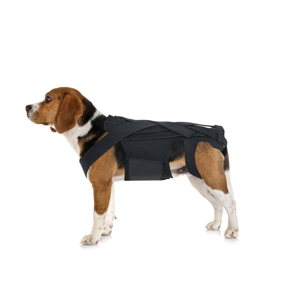 Dog Back Brace for IVDD,Pet Comfortable Full Body Harness Clothing Protector M - Image 2