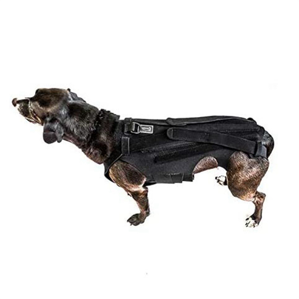 Dog Back Brace for IVDD,Pet Comfortable Full Body Harness Clothing Protector M - Image 3