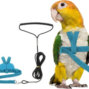 Bird Harness and Leash, Adjustable Flight Training Rope for Parrots, Pigeons, Budgies (Blue, L)