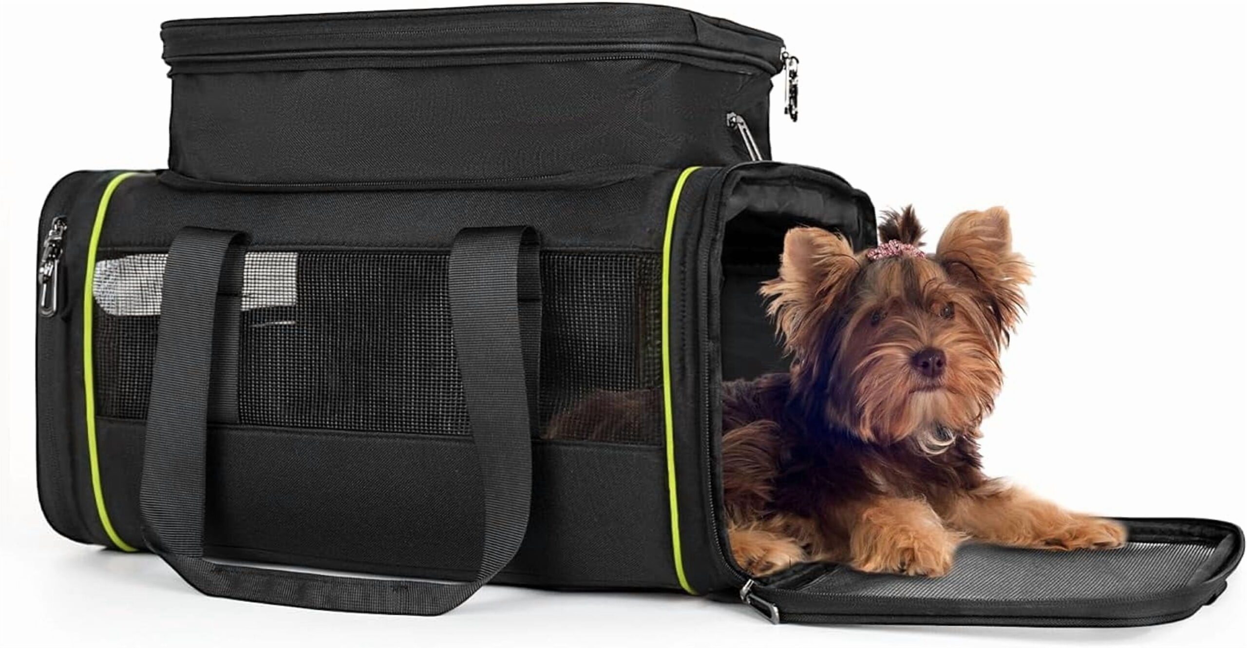 Airline Approved Pet Carrier for Small Dogs & Cats | Soft-Sided Lightweight Collapsible Travel Carrier with Ventilation Mesh(Fits Under Airplane Seat, 16")(Black)