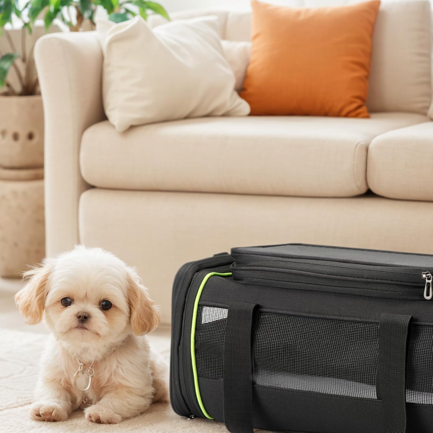 Airline Approved Pet Carrier for Small Dogs & Cats | Soft-Sided Lightweight Collapsible Travel Carrier with Ventilation Mesh(Fits Under Airplane Seat, 16")(Black) - Image 9