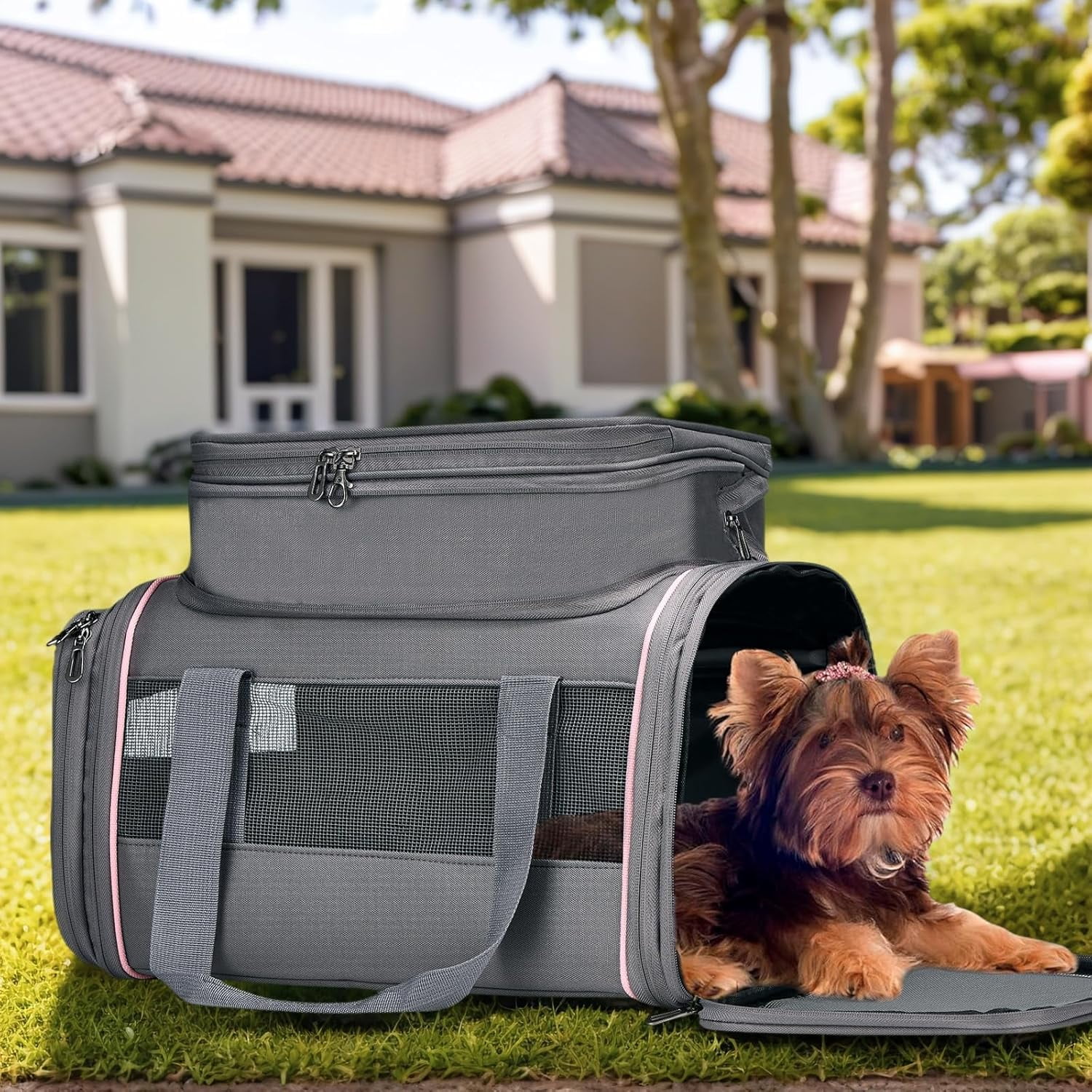 Airline Approved Pet Carrier for Small Dogs & Cats | Soft-Sided Lightweight Collapsible Travel Carrier with Ventilation Mesh(Fits Under Airplane Seat, 16")(Black) - Image 15