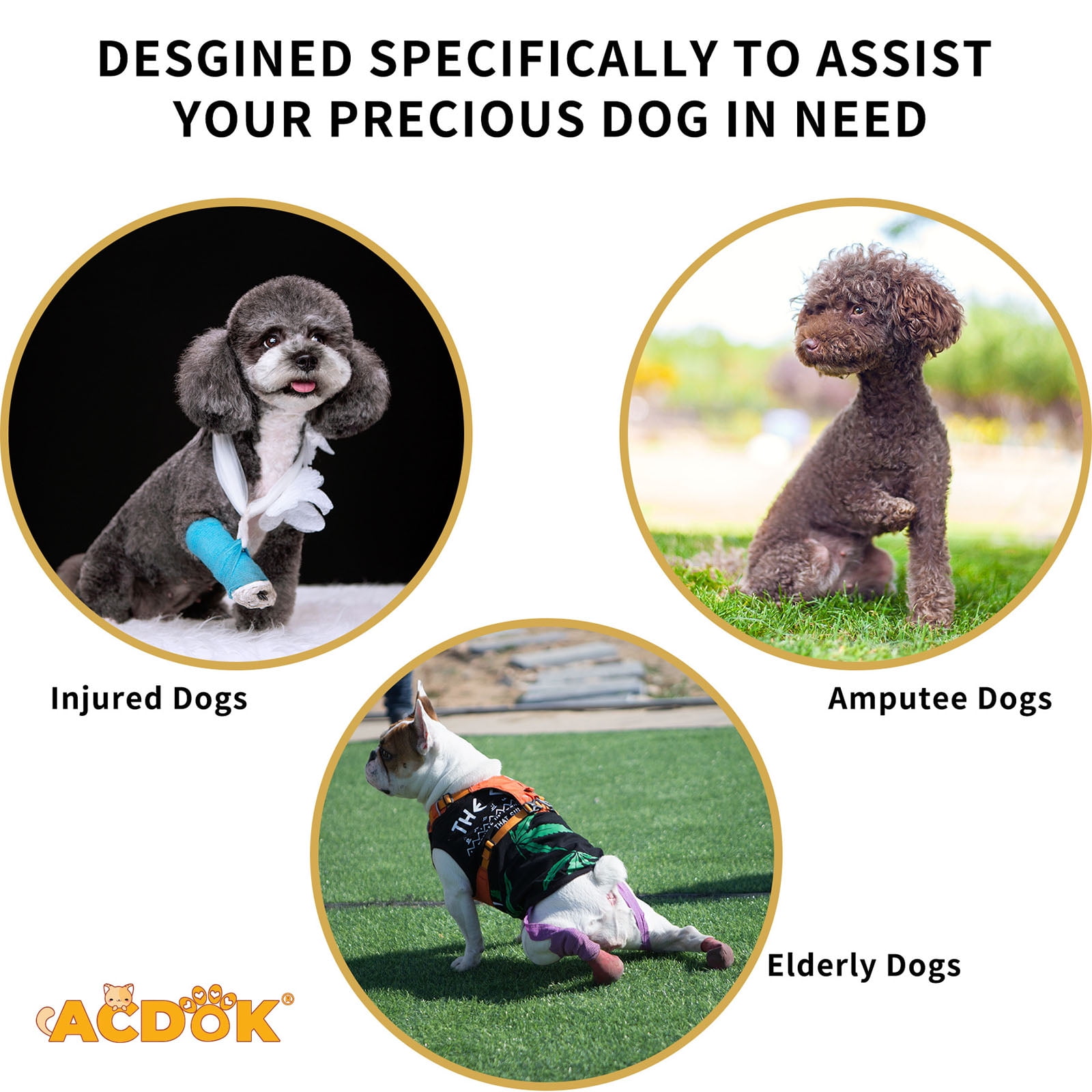 Reflective Dog Harness Lift Slings For Disabled Pet with Adjustable Chest Support and Padding Disabled Dog Support Device - Image 6