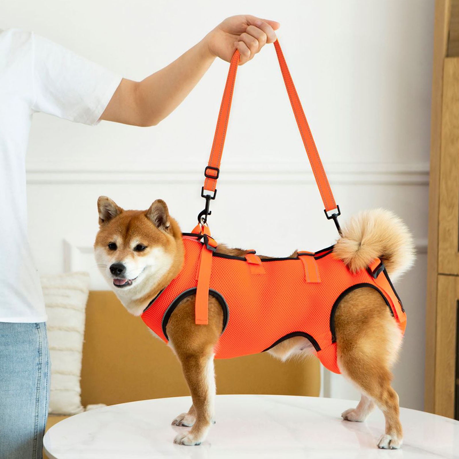 Reflective Dog Harness Lift Slings For Disabled Pet with Adjustable Chest Support and Padding Disabled Dog Support Device - Image 8