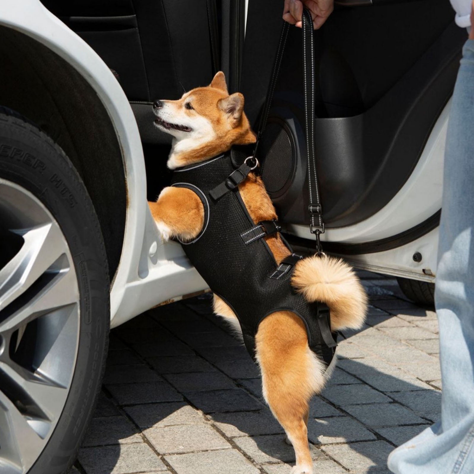 Reflective Dog Harness Lift Slings For Disabled Pet with Adjustable Chest Support and Padding Disabled Dog Support Device - Image 9