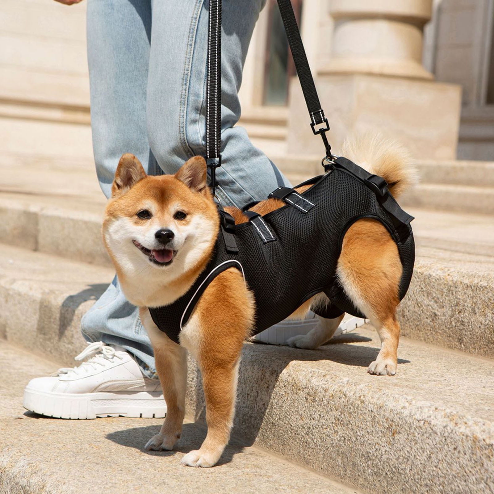 Reflective Dog Harness Lift Slings For Disabled Pet with Adjustable Chest Support and Padding Disabled Dog Support Device - Image 14