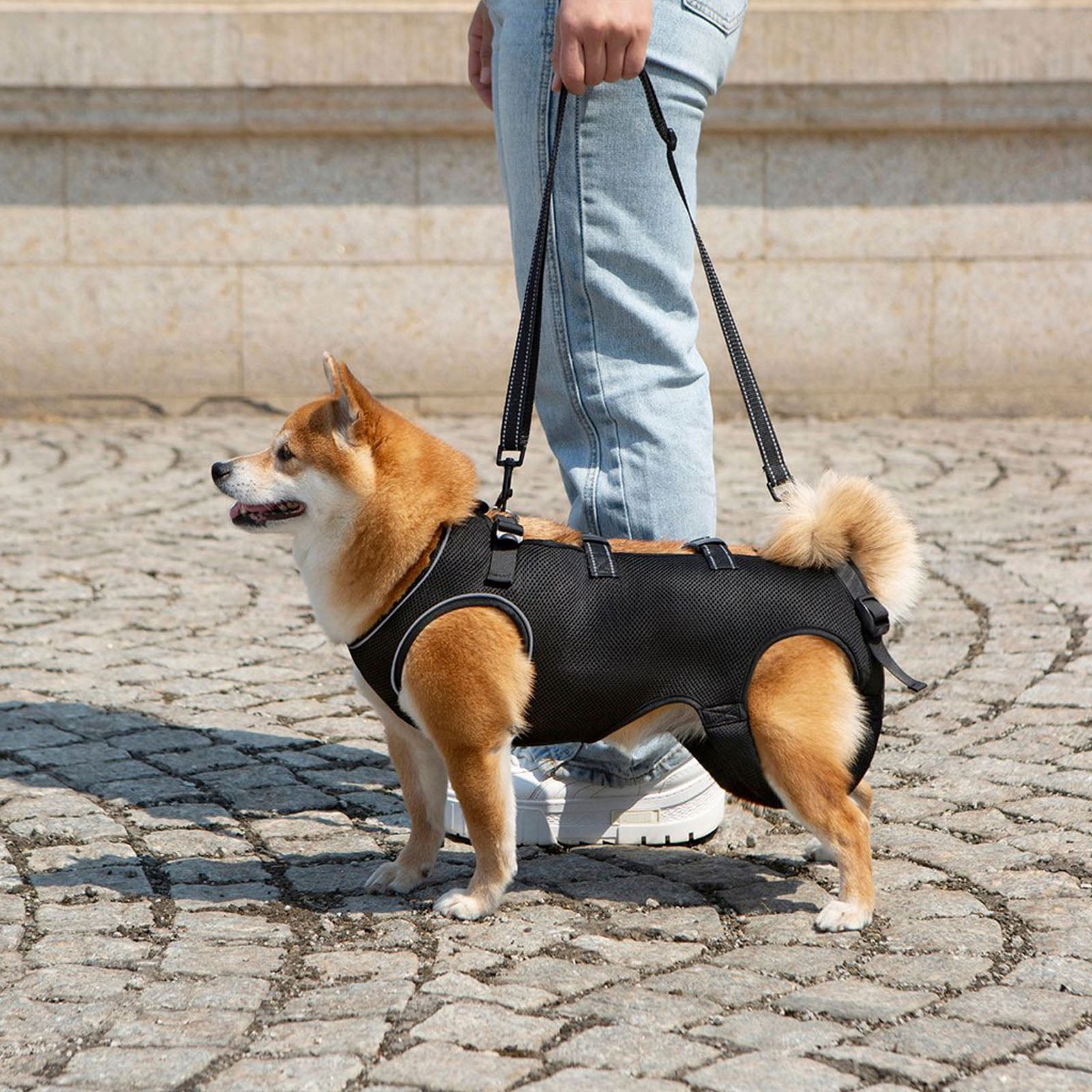Reflective Dog Harness Lift Slings For Disabled Pet with Adjustable Chest Support and Padding Disabled Dog Support Device - Image 15