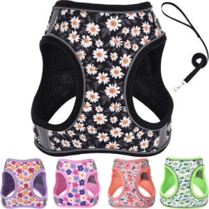 XXS Dog Harness & Leash Set – Step-In Dog Harness for Walking, Running & Training – Puppy Essentials, Cat & Rabbit Adjustable Reflective Vest – Black, XXS 5PCS