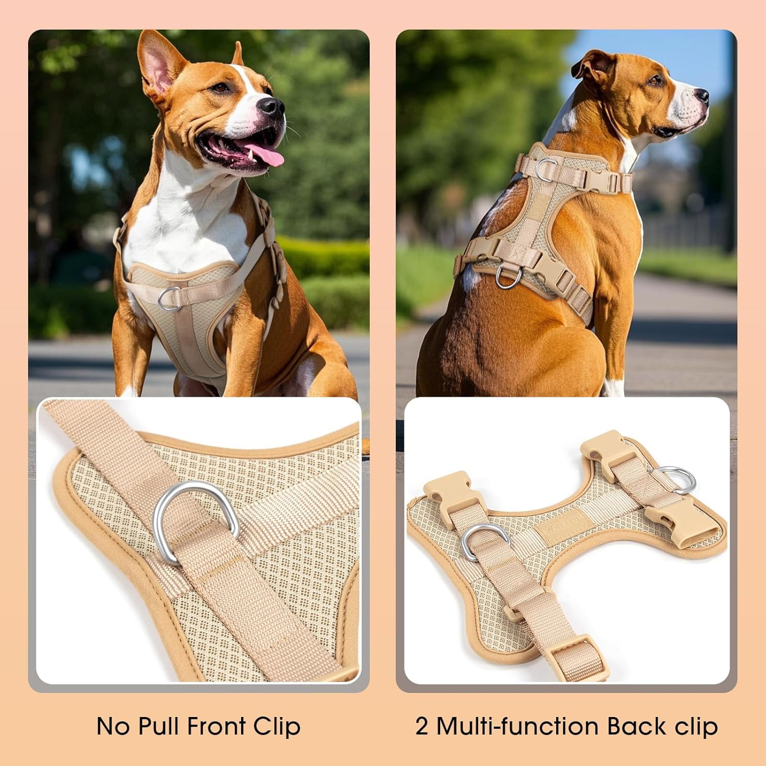 Mesh Breathable Dog Harness: No Pull Harness with 3 Fast-Release Buckles Adjustable for Walking & Training for Small Medium Large Dogs (Sand Color, XS: Neck=10"-14"/Chest=11"-19") - Image 3