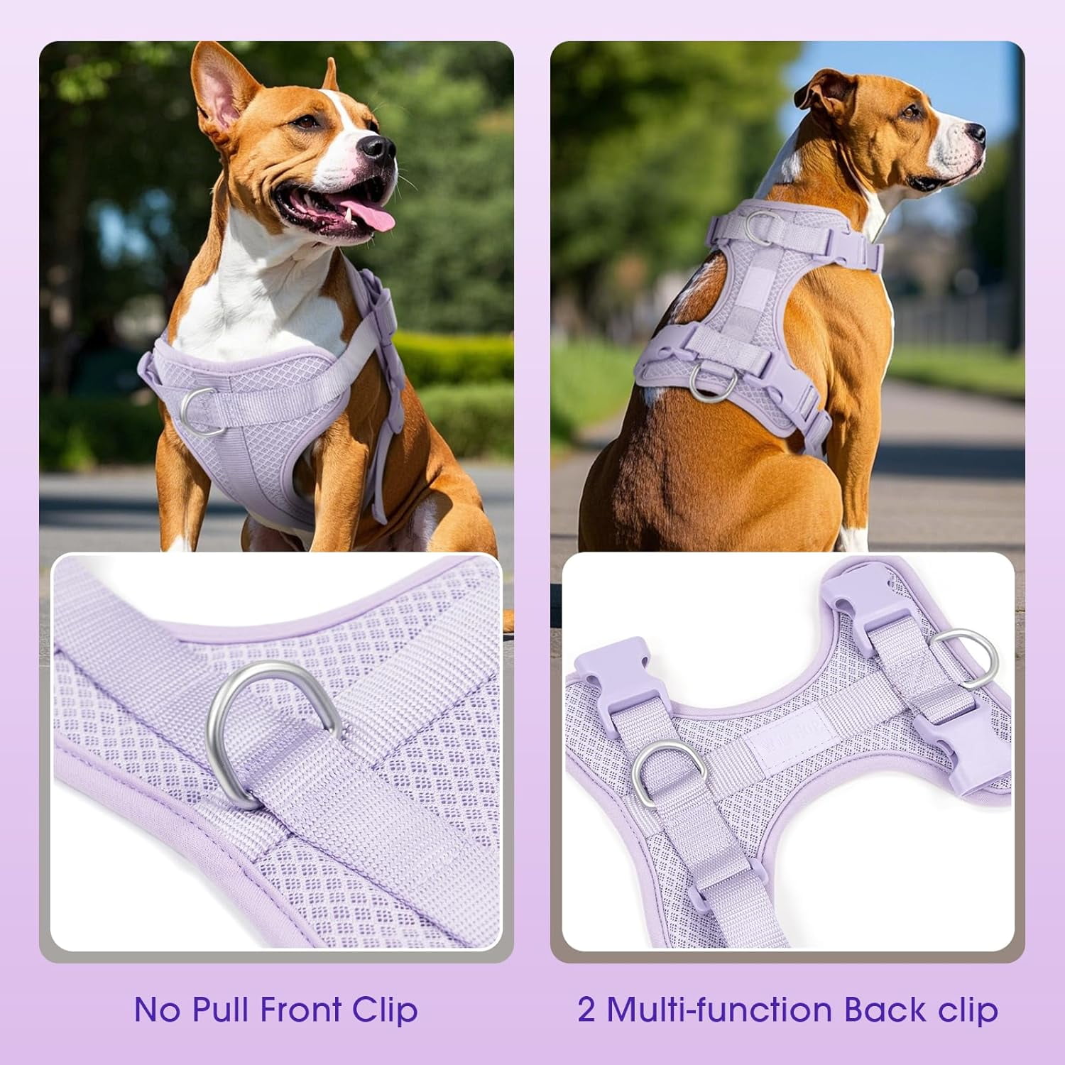 Mesh Breathable Dog Harness: No Pull Harness with 3 Fast-Release Buckles Adjustable for Walking & Training for Small Medium Large Dogs (Sand Color, XS: Neck=10"-14"/Chest=11"-19") - Image 9