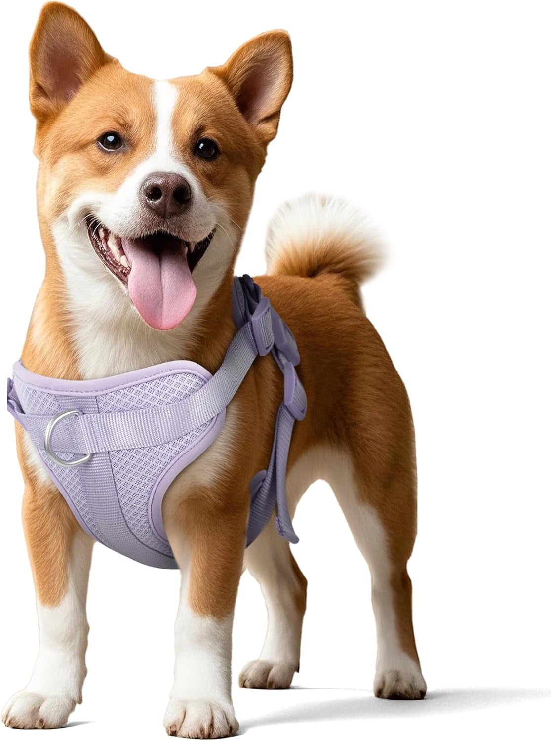 Mesh Breathable Dog Harness: No Pull Harness with 3 Fast-Release Buckles Adjustable for Walking & Training for Small Medium Large Dogs (Sand Color, XS: Neck=10"-14"/Chest=11"-19") - Image 13