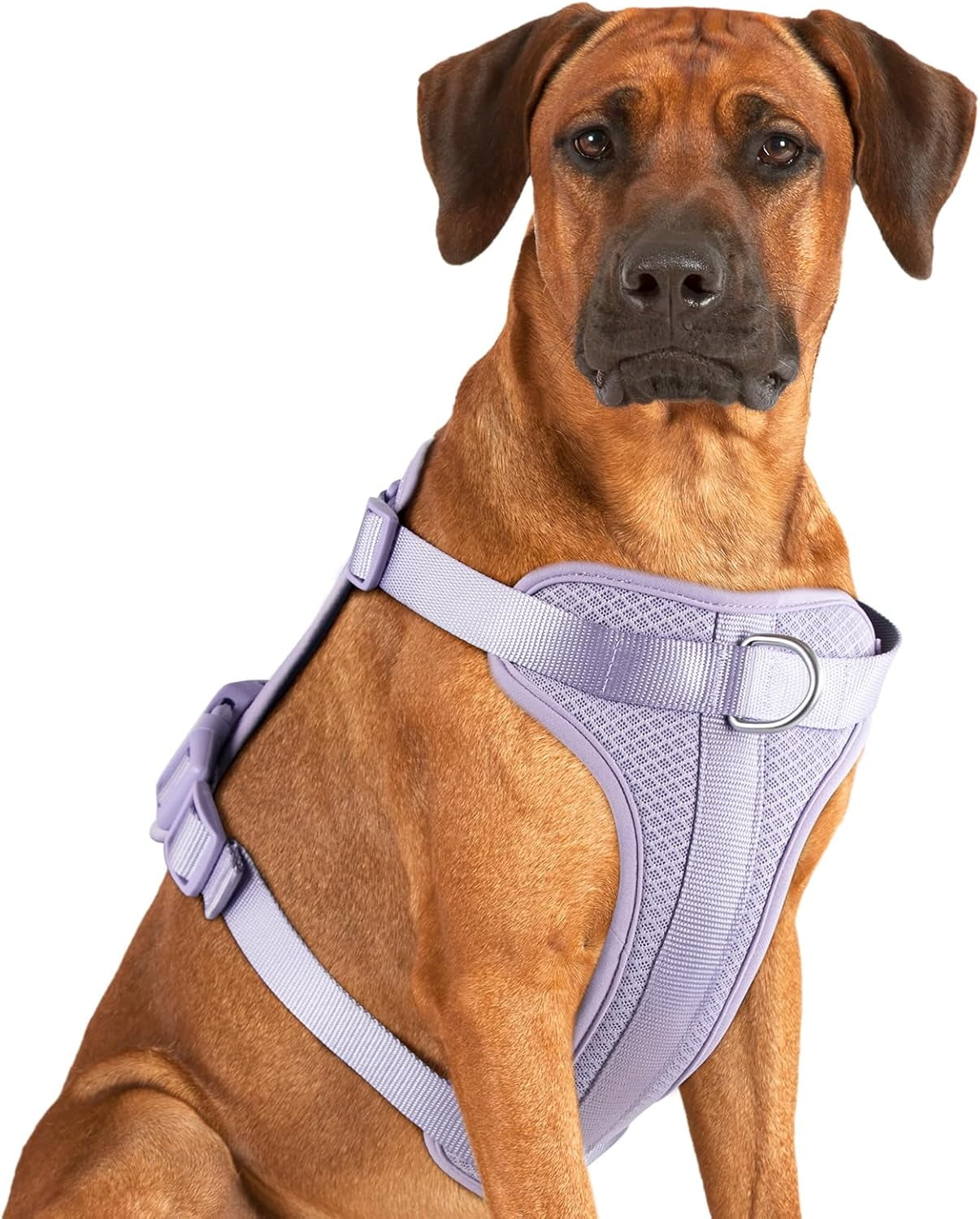 Mesh Breathable Dog Harness: No Pull Harness with 3 Fast-Release Buckles Adjustable for Walking & Training for Small Medium Large Dogs (Sand Color, XS: Neck=10"-14"/Chest=11"-19") - Image 14