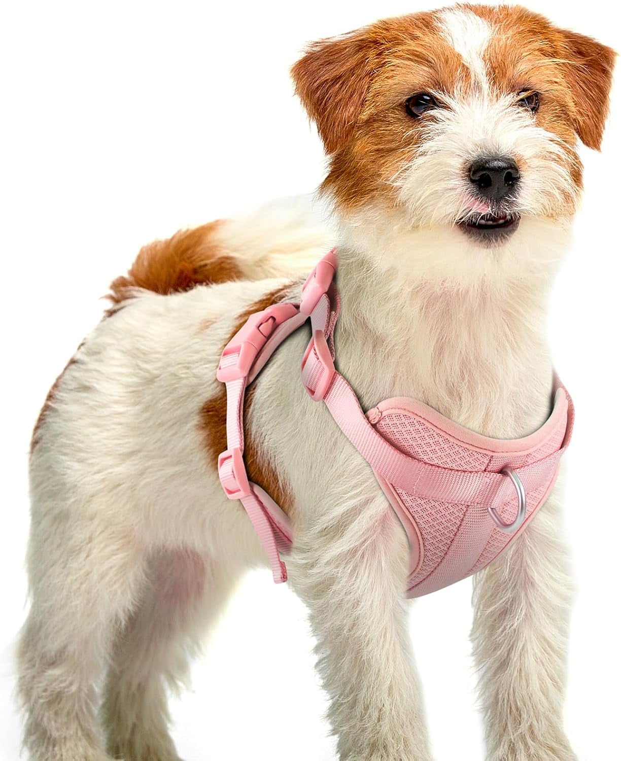 Mesh Breathable Dog Harness: No Pull Harness with 3 Fast-Release Buckles Adjustable for Walking & Training for Small Medium Large Dogs (Sand Color, XS: Neck=10"-14"/Chest=11"-19") - Image 19