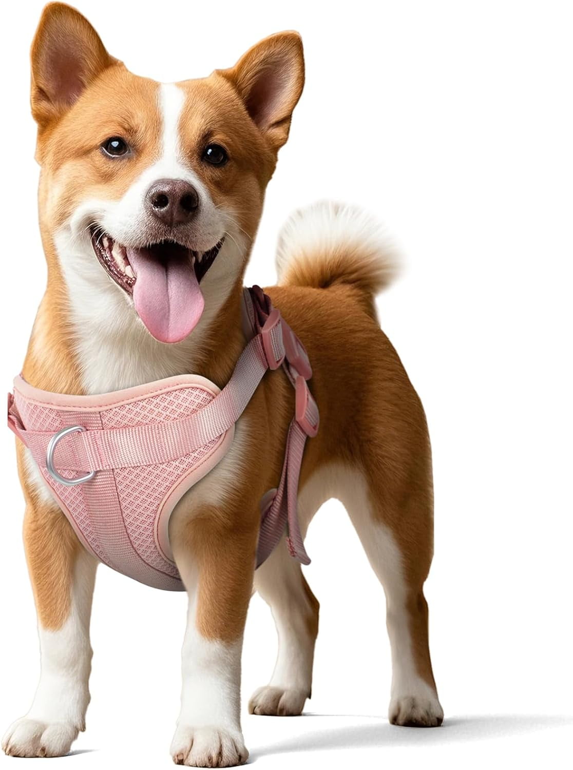 Mesh Breathable Dog Harness: No Pull Harness with 3 Fast-Release Buckles Adjustable for Walking & Training for Small Medium Large Dogs (Sand Color, XS: Neck=10"-14"/Chest=11"-19") - Image 20