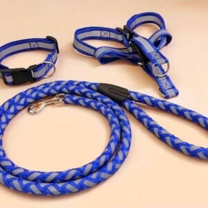 3-piece set of reflective round rope, chest/back harness, collar for dogs. Reflective leash chain, pet collar, small carrier, Golden Retriever, Teddy Bear. Pet accessories, rope.