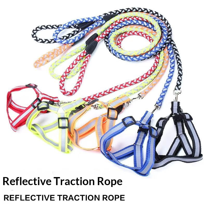 3-piece set of reflective round rope, chest/back harness, collar for dogs. Reflective leash chain, pet collar, small carrier, Golden Retriever, Teddy Bear. Pet accessories, rope. - Image 6