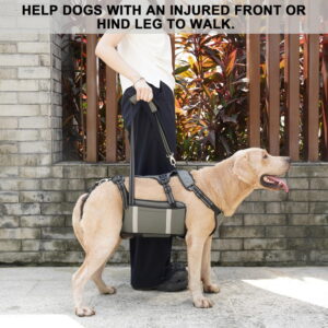 COODEO Mobility Dog Lift Harness, Emergency Carry Sling, Pet Rear Leg Support Rehabilitation Lifts Vest, Dog Carrier for Senior Dogs Joint Injuries, Arthritis (Military Green, L)