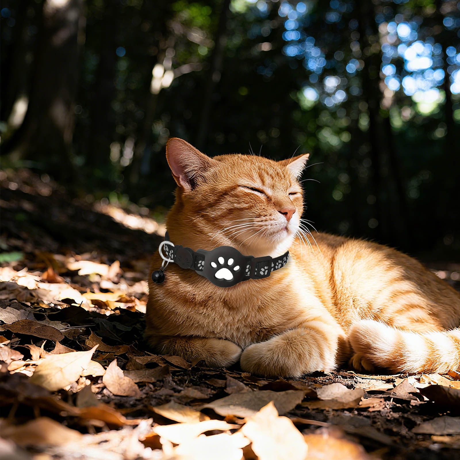 Cat Tracker Collar, Waterproof GPS Pet Locator with No Monthly Fee, Adjustable for Small and Large Cats - Image 6