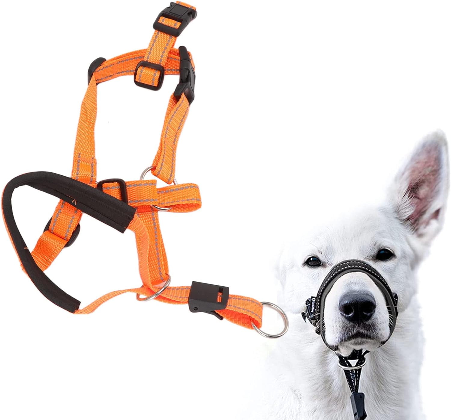 LELINKER Dog Head Collar with Safety Strap, Adjustable Prevent Pulling Dog Head Halter for Outdoor Walk - Image 7