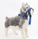 LELINKER Dog Head Collar with Safety Strap, Adjustable Prevent Pulling Dog Head Halter for Outdoor Walk - Image 13