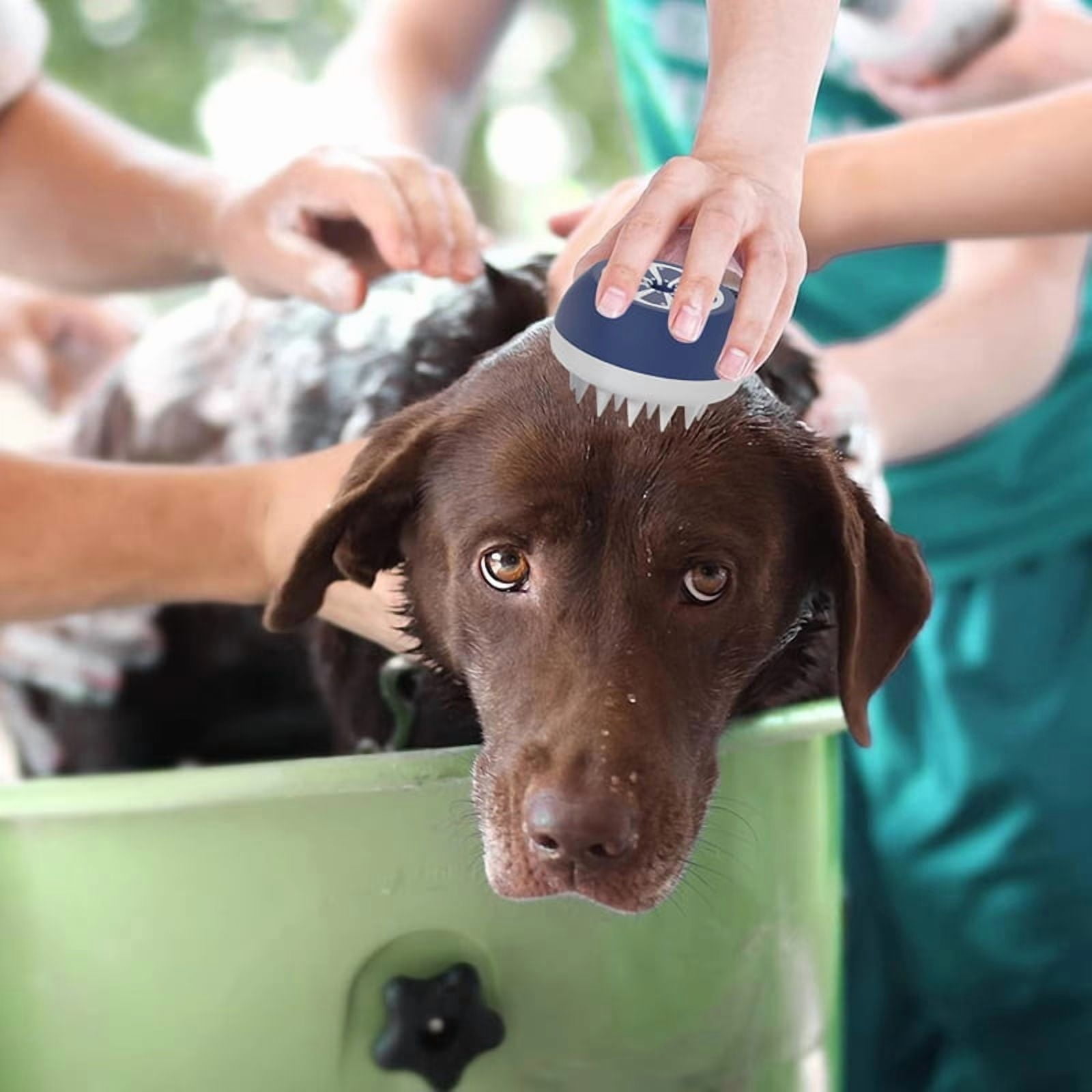 Silicone Pet Shower Brush for Dogs and Cats, Grooming Massage Bath Tool for Hair Removal, Protable and Light Weight B - Image 6