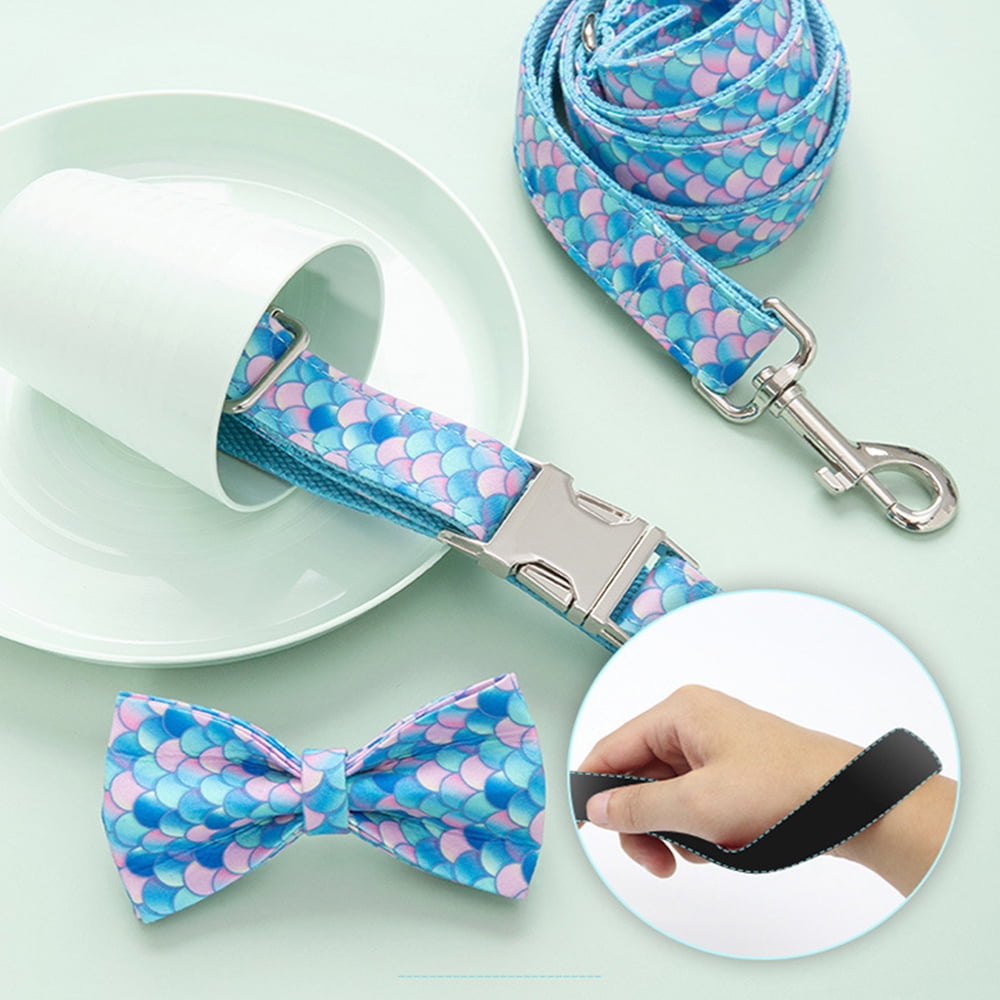 2026New Vibrant Webbing Soft Adjustable Dog Collar, Cute Puppy Collar for Small Medium Large Dogs - Image 3