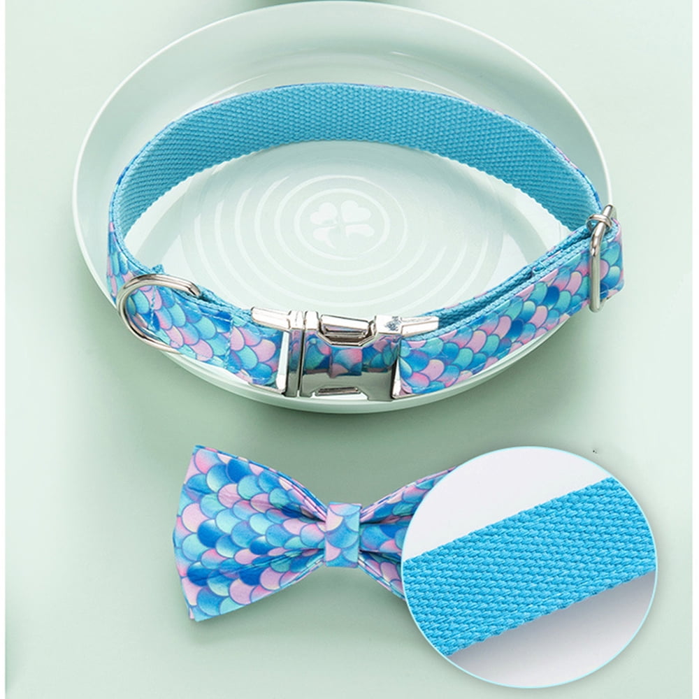 2026New Vibrant Webbing Soft Adjustable Dog Collar, Cute Puppy Collar for Small Medium Large Dogs - Image 4
