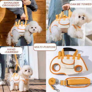 Pet Carrier Backpack with Ventilated Mesh, Multiple Carrying Options for Dogs and Cats, Orange/White Design