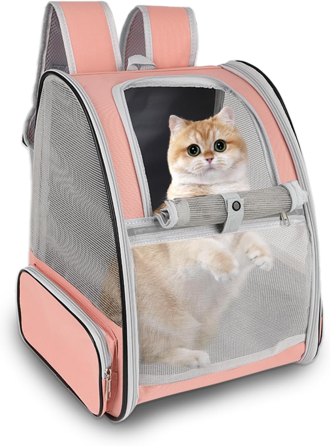Cat Backpack Carrier,Pet Carrier Airline Approved for Small Dog Cat Puppy Kitten Bunny,Ventilated Mesh Design Animal Backpack for Hiking Camping Travel Bag (Black) - Image 15