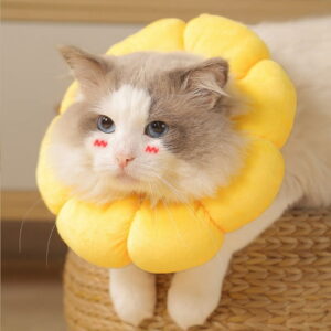 2 x Sunflower Pet collars-Yellow