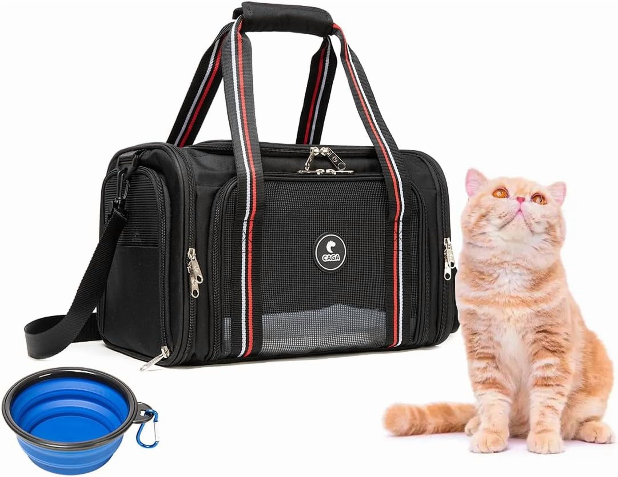 Soft-Sided Pet Carrier with Ventilation - Foldable & Collapsible for Small to Medium Dogs & Cats up to 15 lbs