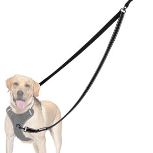 Two Point Control  Leash, Works with No Pull Harnesses, No Tangle  Leashes, Soft Padded and Reflective Walking Lead, Converts to Single Lead for Medium Large Dogs (Black)