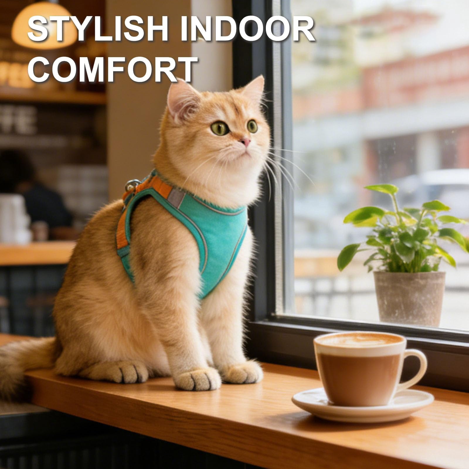 2026 Escape-Proof Cat Harness and Leash Set, Soft Breathable Cozy Mesh Vest Style Adjustable Step-in Cat Harness for Walking, Easy Wear Outdoor Harness for Small Medium Cats - Image 2