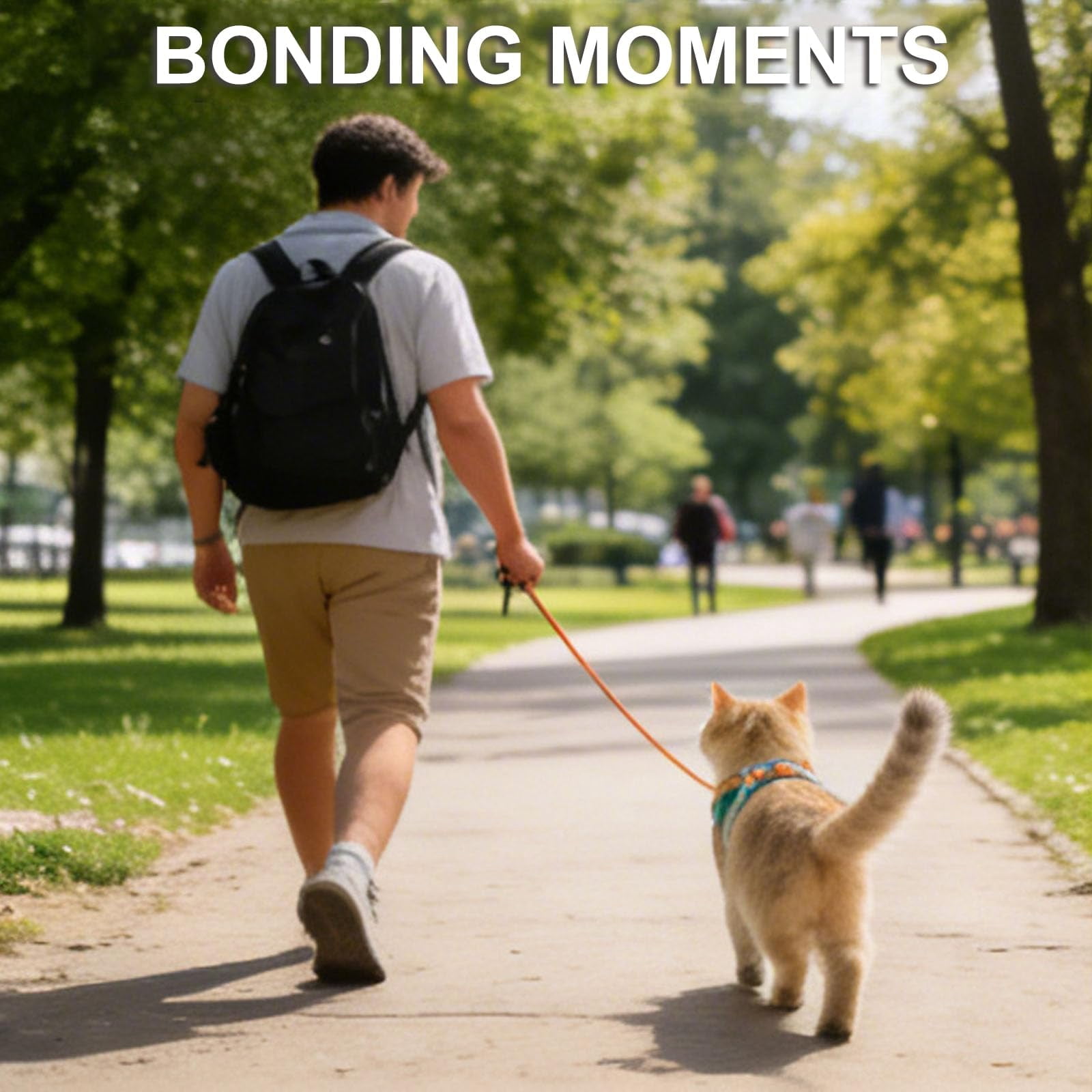 2026 Escape-Proof Cat Harness and Leash Set, Soft Breathable Cozy Mesh Vest Style Adjustable Step-in Cat Harness for Walking, Easy Wear Outdoor Harness for Small Medium Cats - Image 5