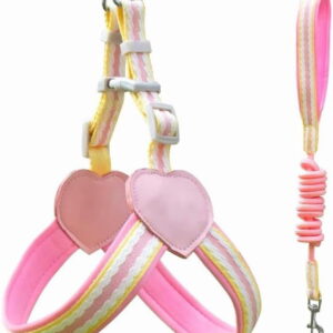 Dog Harness & Leash Set – Adjustable No-Pull Vest Harness for Small, Medium & Large Dogs – Comfortable Pet Walking Vest with Matching Leash – Pink, Medium