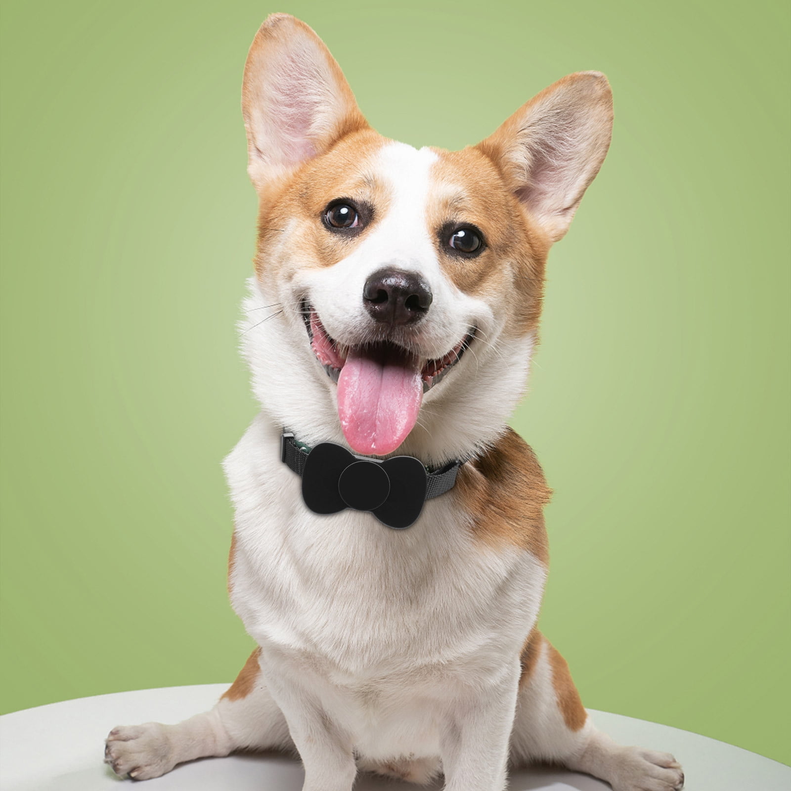 Pet Tracker for Dogs and Cats, GPS Location Device with No Monthly Fee, Compatible with Find My Network for Apple iOS, Lightweight and Durable Collar Attachment - Image 6